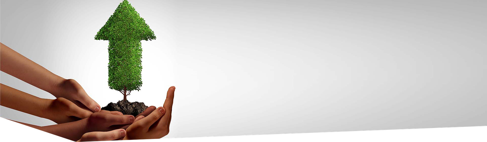 Boosting ROI with Interline Audit Services for a National Carrier  