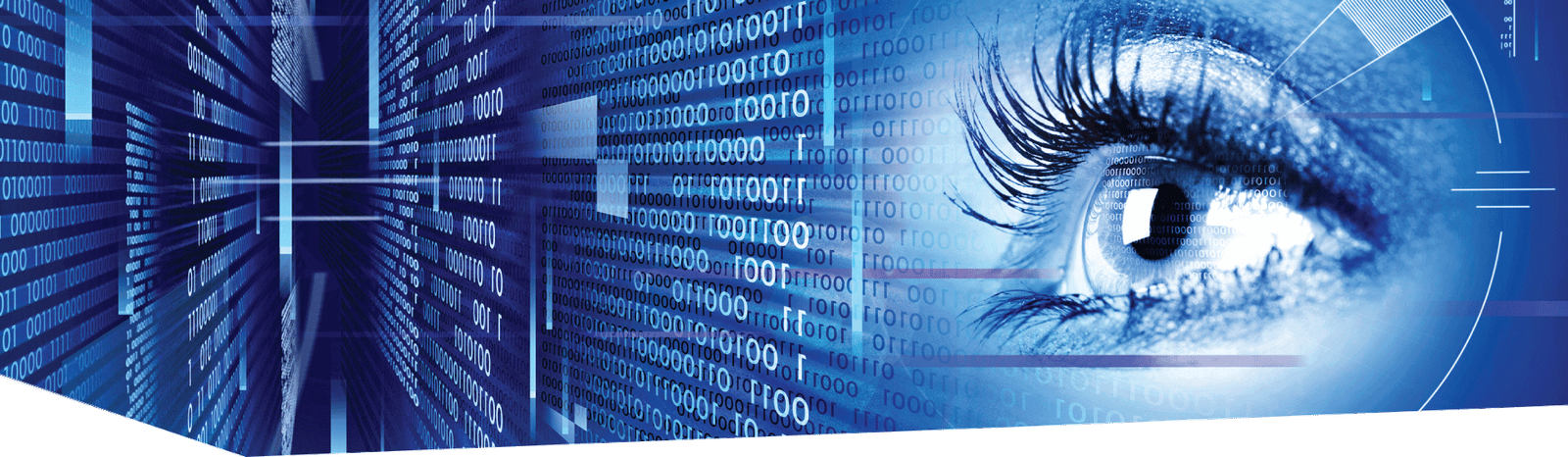 Securing Your Enterprise Assets with Robust CyberSecurity Solution