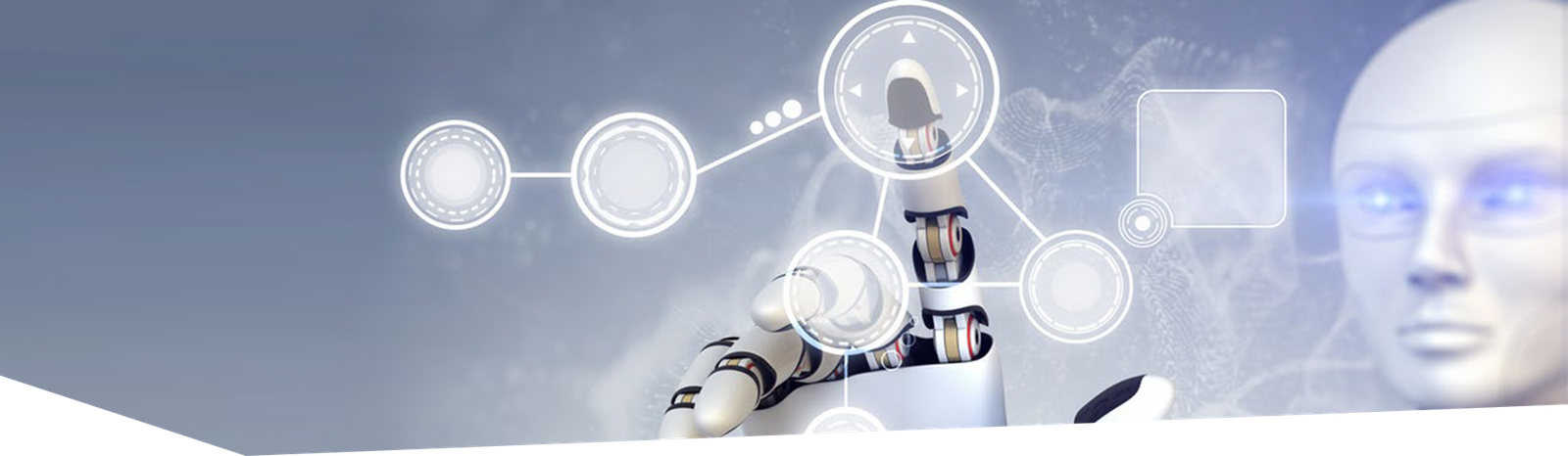 Intelligent Enterprises through Robotics Process Automation