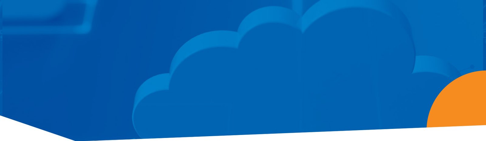 MAXIMIZING YOUR PEGA INVESTMENT