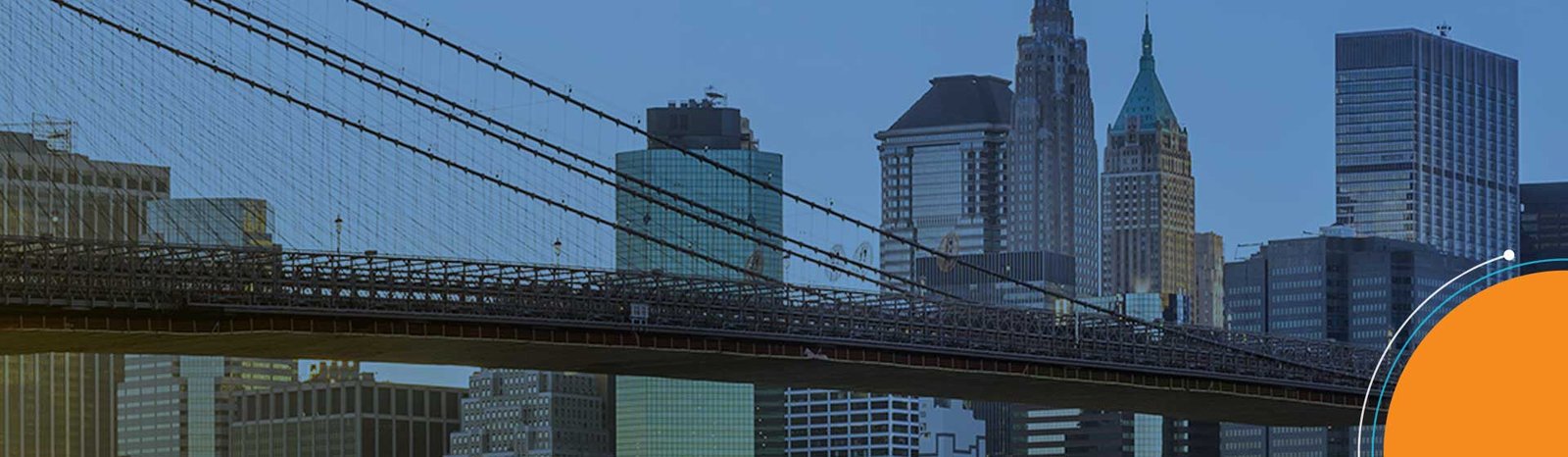 Expanding the Digital Platform to Improve Business Operations, Customer-Centricity, and Growth