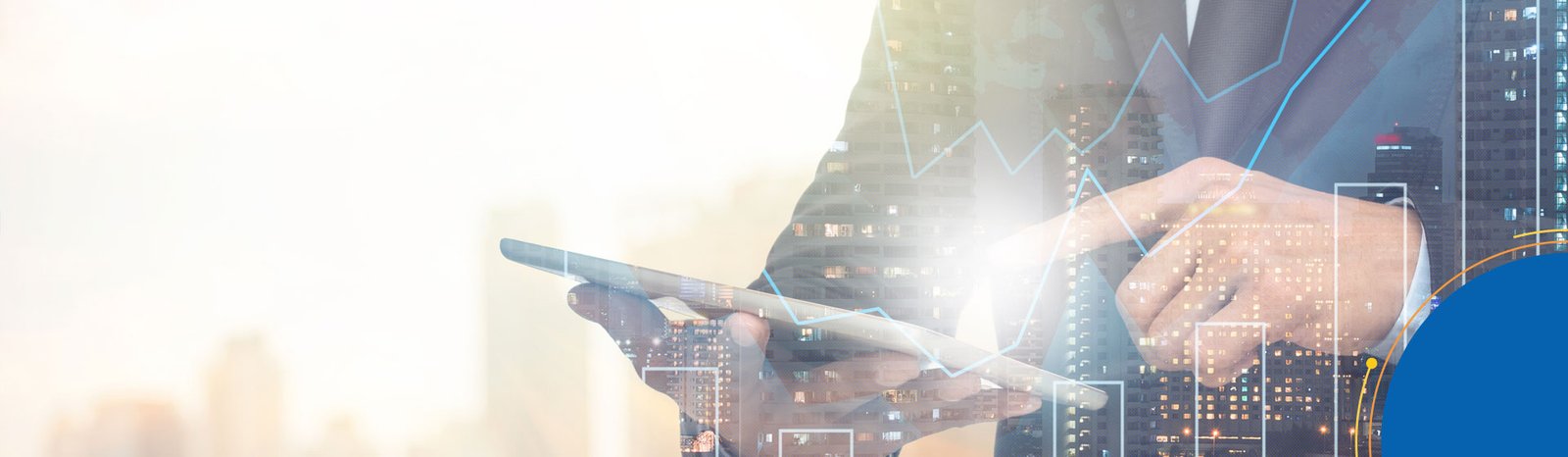 Digitally Combating Shadow Economies