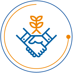 Partnership and co-creation