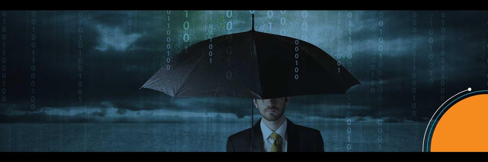  Taming the Data - A CIO’s perspective