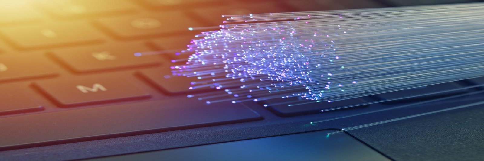 Provider Data and Network Management