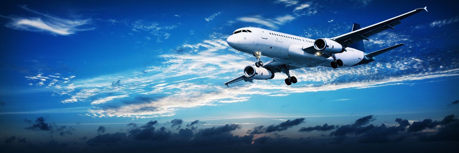 Airline IT Management